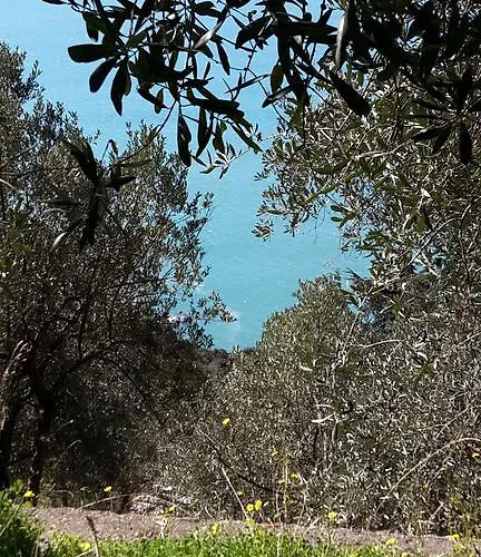 Corner Of Paradise Near Cinque Terre *