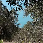 Corner Of Paradise Near Cinque Terre *