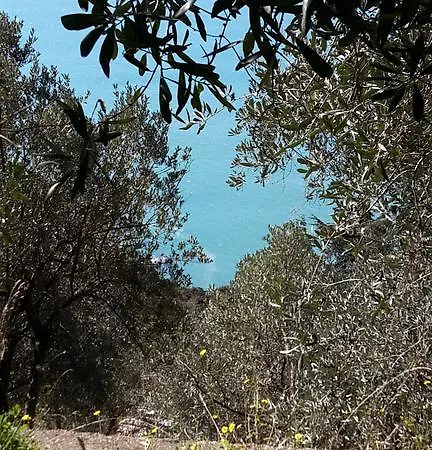Corner Of Paradise Near Cinque Terre *