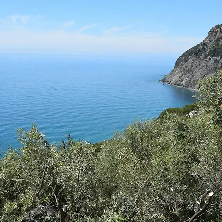 Corner Of Paradise Near Cinque Terre Apartment *