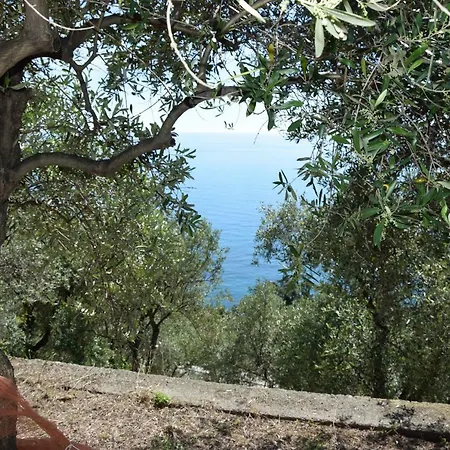 Corner Of Paradise Near Cinque Terre *