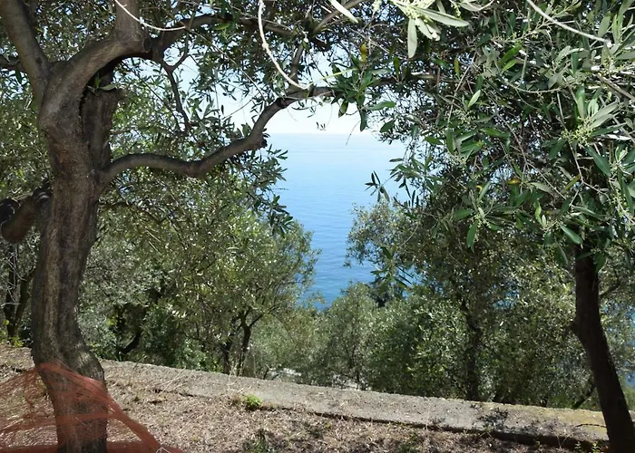 Corner Of Paradise Near Cinque Terre *